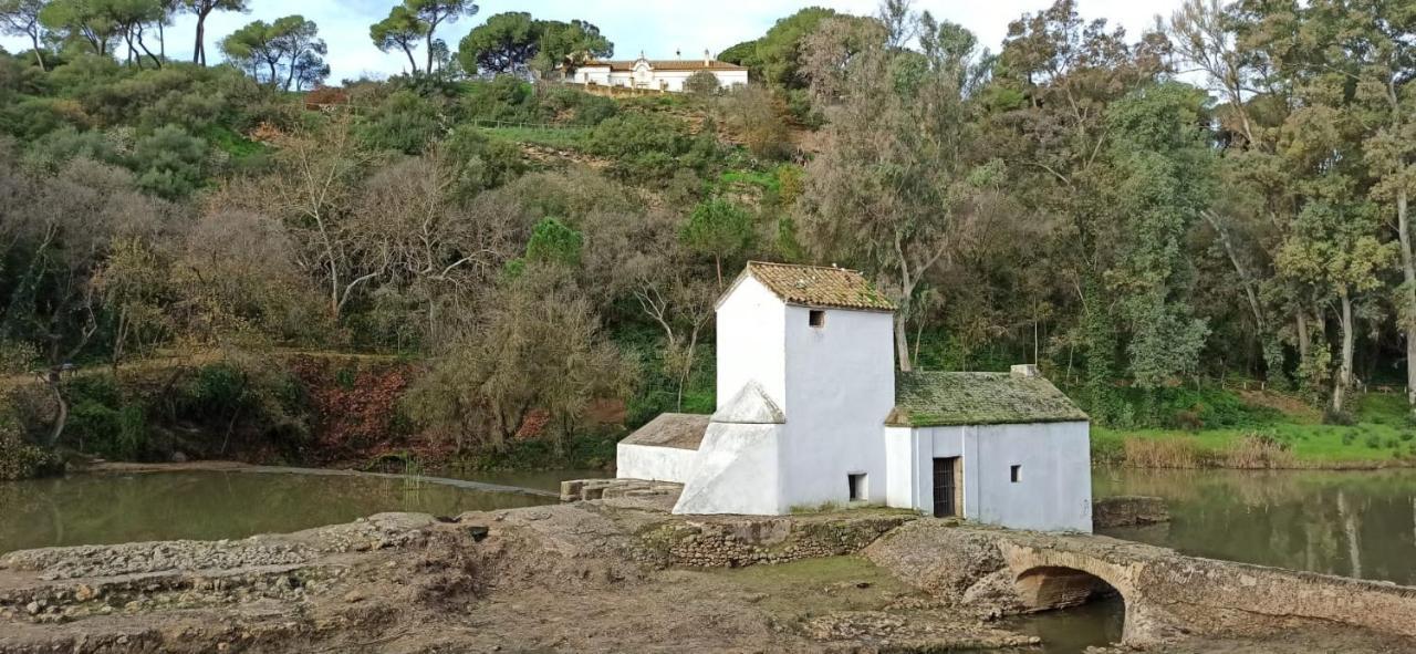 La Casa Del Cura 1935 Daire Alcalá de Guadaira Dış mekan fotoğraf